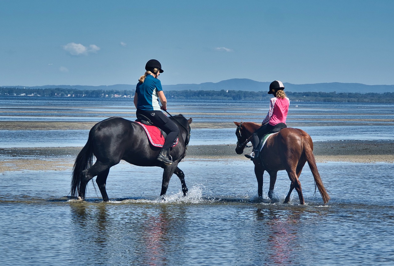 Två hästar och ryttare vid vattnet